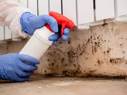 Best Industrial Mold Remediation  in East Lansdowne, PA